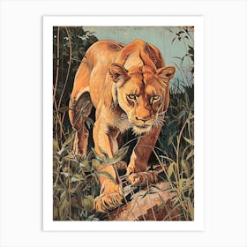 African Lion Relief Illustration Lionesss 3 Art Print
