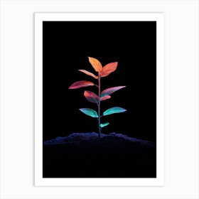 Plant In The Dark 40 Art Print