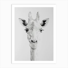 Giraffe 3 Art Print