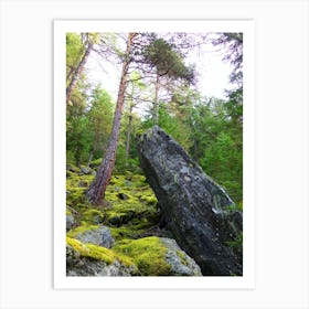 Moss Covered Rocks In The Forest 1 Art Print