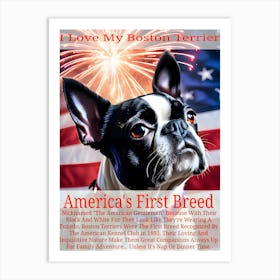 The Boston Terrier, America's Breed ~Reimagined 1 Art Print