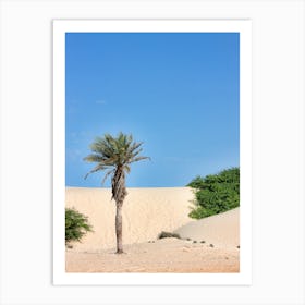 Cape Verde Palm Tree 01 (2012) Art Print