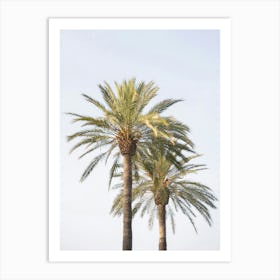 Mediterranean Palm Trees Art Print