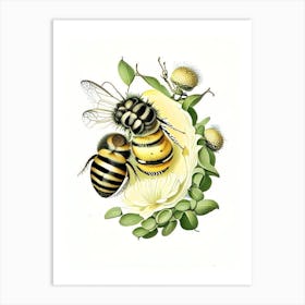 Larva Bees 1 Vintage Art Print