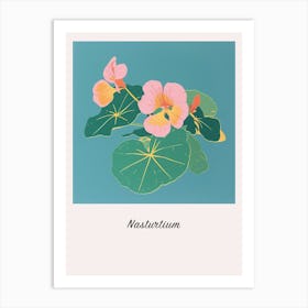 Nasturtium 2 Square Flower Illustration Poster Art Print