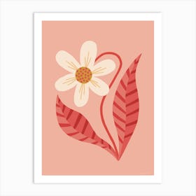 Striped Orchid Coral Art Print
