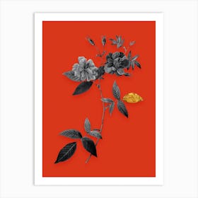 Vintage Hudson Rosehip Black and White Gold Leaf Floral Art on Tomato Red Art Print
