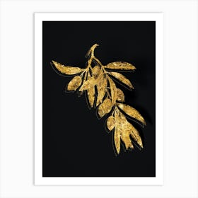 Vintage Olive Tree Branch Botanical in Gold on Black n.0170 Art Print