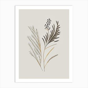 Fennel Seed Spices And Herbs Retro Minimal 2 Art Print