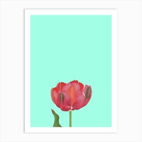 Lone Rose, Botanical, Plant, Neutral, Kitchen, Bathroom, Bedroom, Art, Wall Print Art Print