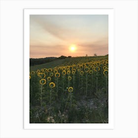 Sunflowers At Sunset Art Print