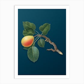 Vintage Pear Botanical Art on Teal Blue n.0759 Art Print