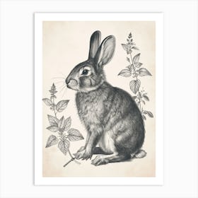 Blanc De Hotot Blockprint Rabbit Illustration 8 Art Print