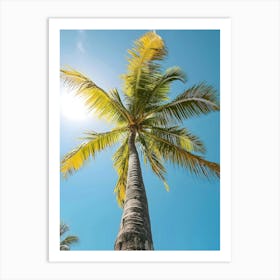 Palm Tree In The Sun 1 Art Print