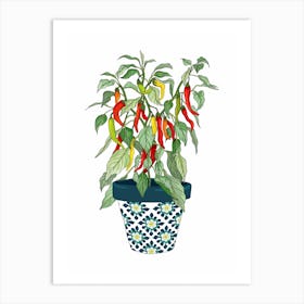 Chilli Growing Pot Plant Art Print