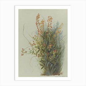 Wildflowers 1 Art Print