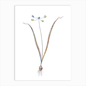 Stained Glass Allium Scorzonera Folium Mosaic Botanical Illustration on White n.0301 Art Print