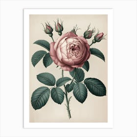 Roses Art Print