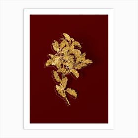 Vintage Evergreen Oak Botanical in Gold on Red n.0512 Art Print