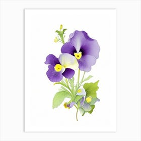 Pansy Floral Quentin Blake Inspired Illustration 4 Flower Art Print