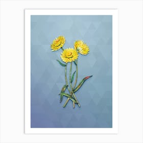 Vintage Helichrysum Flower Branch Botanical Art on Summer Song Blue n.1917 Art Print
