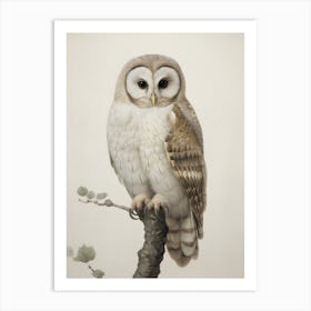 Antique Barn Owl Sketch Art Print