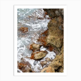 Rocky shore with seaweed Art Print