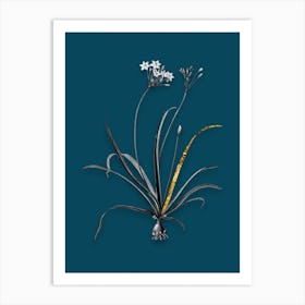 Vintage Allium Fragrans Black and White Gold Leaf Floral Art on Teal Blue n.0946 Art Print
