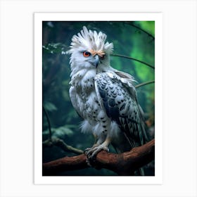 Regal Raptor: Harpy Eagle Art Art Print