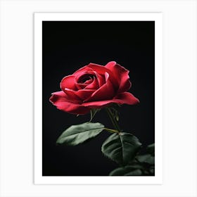 Red Rose On Black Background 39 Art Print