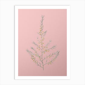 Vintage Sea Asparagus Botanical on Soft Pink n.0268 Art Print