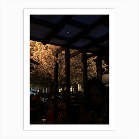 Cherry Blossoms At Night Art Print