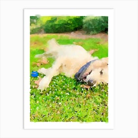 Dog Laying In The Grass Art Print