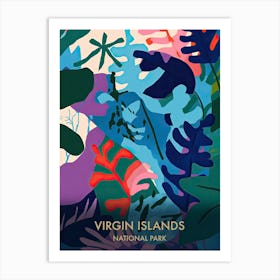 Virgin Islands National Park Travel Poster Matisse Style 4 Art Print