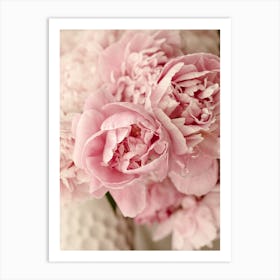 Pink Peonies Close Up Art Print