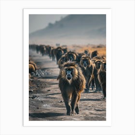 Herd Of Baboons Art Print