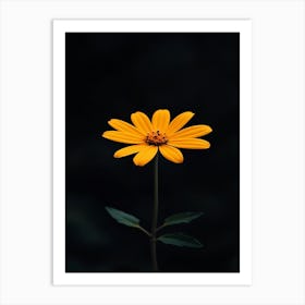 Single Yellow Flower 31 Art Print