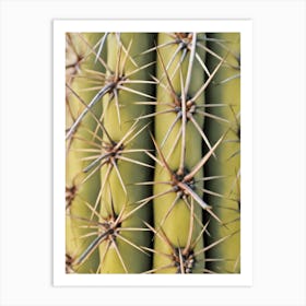 Cactus Spikes Art Print