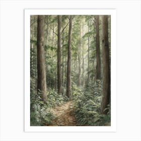 Path In The Woods 8 Art Print