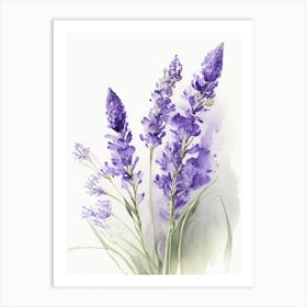 Lavender Wildflower Watercolour Art Print