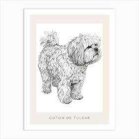 Coton De Tulear Dog Line Sketch 2 Poster Art Print