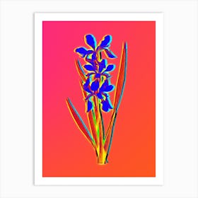 Neon Yellow Banded Iris Botanical in Hot Pink and Electric Blue n.0396 Art Print