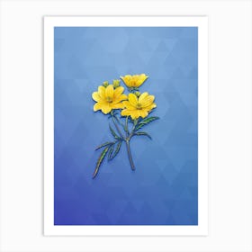 Vintage Golden Coreopsis Flower Botanical Art on Blue Perennial n.1164 Art Print