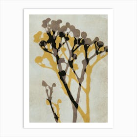 Echoes Of Gypsophila Art Print