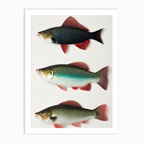 Cod Fish Vintage Poster Art Print