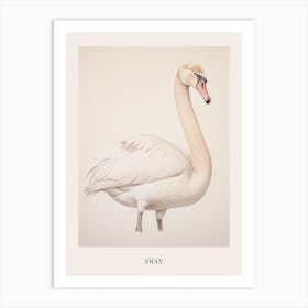 Vintage Bird Drawing Swan 1 Poster Art Print