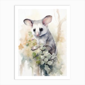 Light Watercolor Painting Of A Eucalyptus Loving Possum 3 Art Print