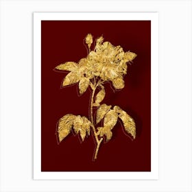 Vintage French Rosebush with Variegated Flowers Botanical in Gold on Red n.0399 Art Print
