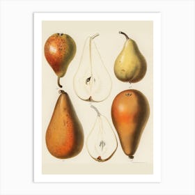 Pears Art Print