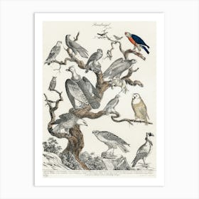 Birds In A Tree Art Print